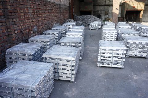 Rotary Plant 4